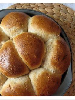 Whole Wheat Buns