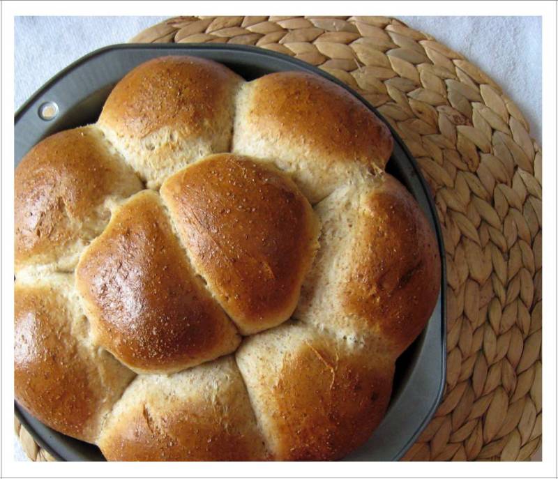 Whole Wheat Buns