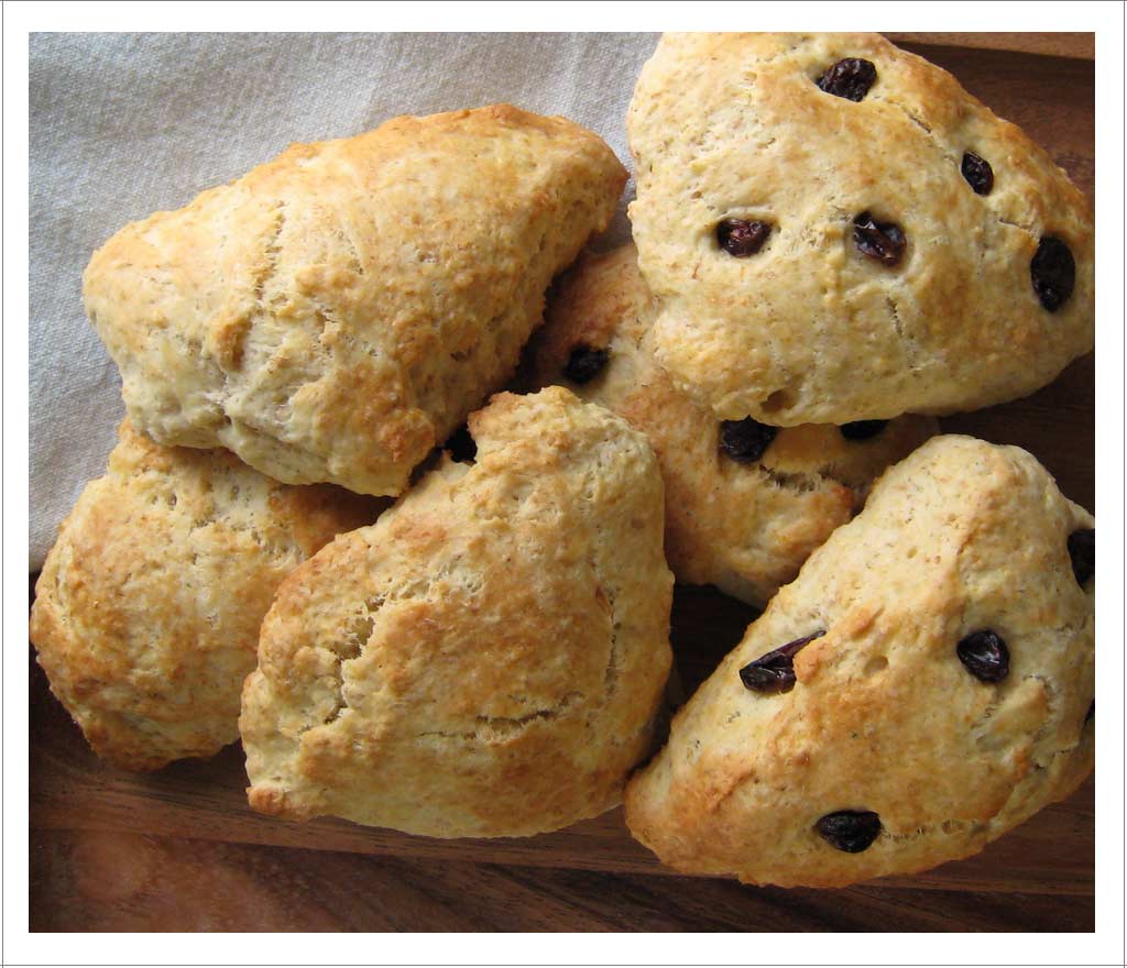 Cranberry Raisin Scones