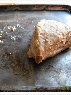 Maple Cinnamon Scones