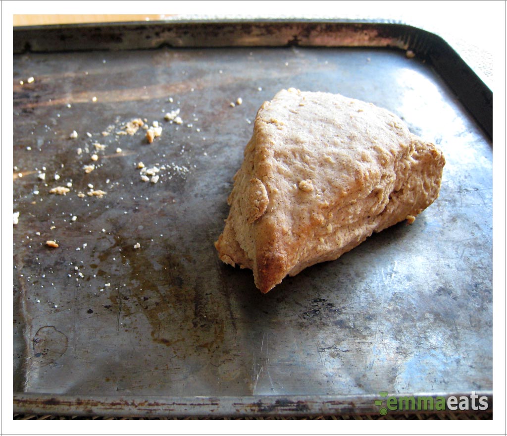 Maple Cinnamon Scones