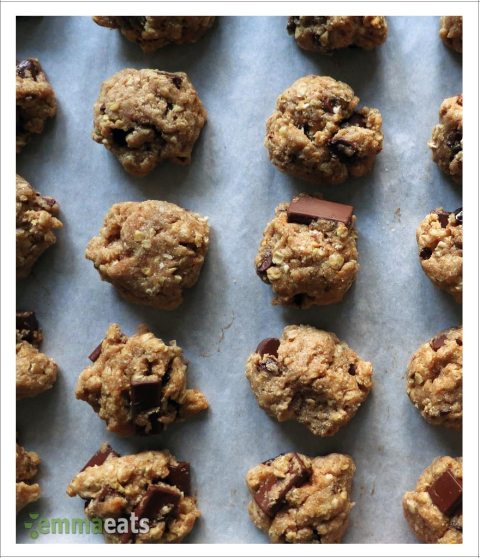 Vegan Oatmeal Chocolate Chip Cherry Bites