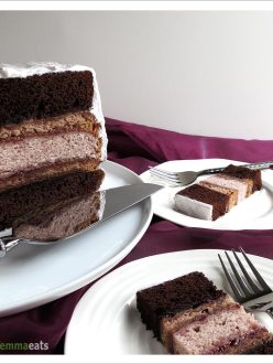 Chocolate and Raspberry Cake with Marshmallow Fluff Frosting