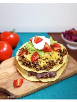 Venison Tostadas | EmmaEats